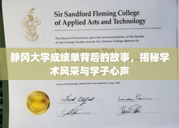 静冈大学成绩单背后的故事，揭秘学术风采与学子心声