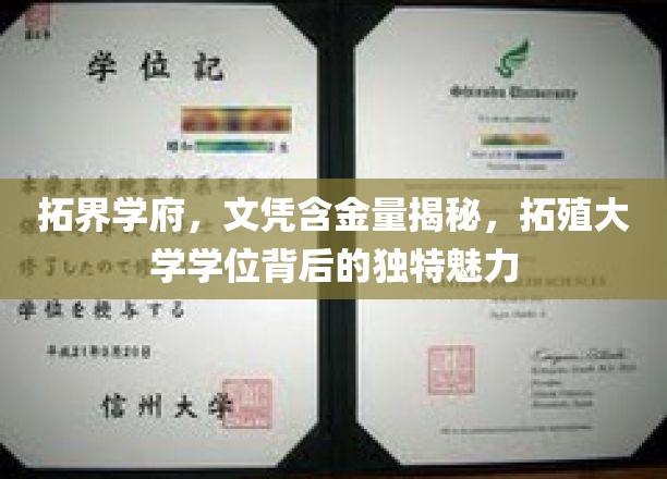 拓界学府，文凭含金量揭秘，拓殖大学学位背后的独特魅力