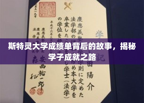 斯特灵大学成绩单背后的故事，揭秘学子成就之路