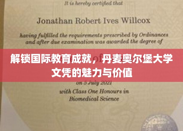 解锁国际教育成就，丹麦奥尔堡大学文凭的魅力与价值