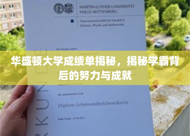 华盛顿学霸养成记，揭秘顶尖学府背后的奋斗之路