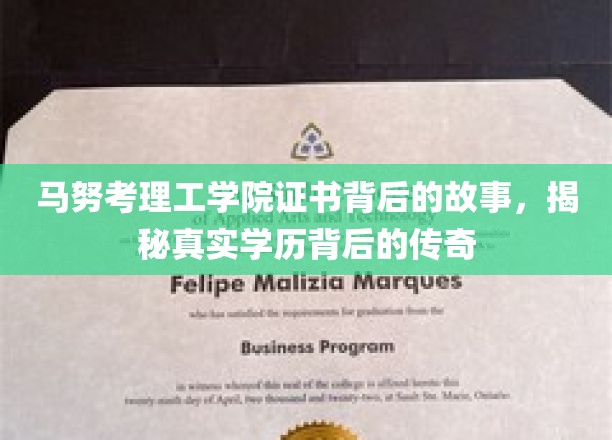 马努考理工学院证书背后的故事，探寻真实学历背后的传奇历程