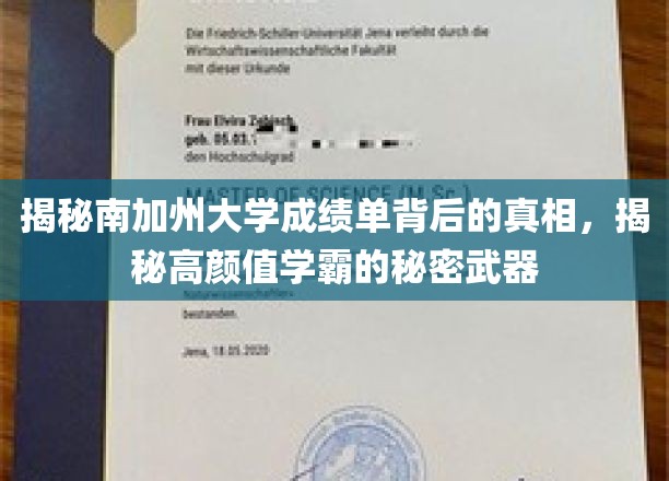 南加大学霸高颜值背后的秘密，揭秘成绩单背后的神秘力量