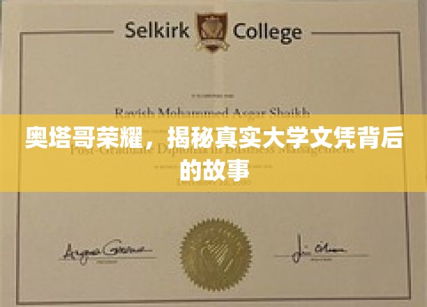 奥塔哥荣耀，揭秘真实大学文凭背后的故事