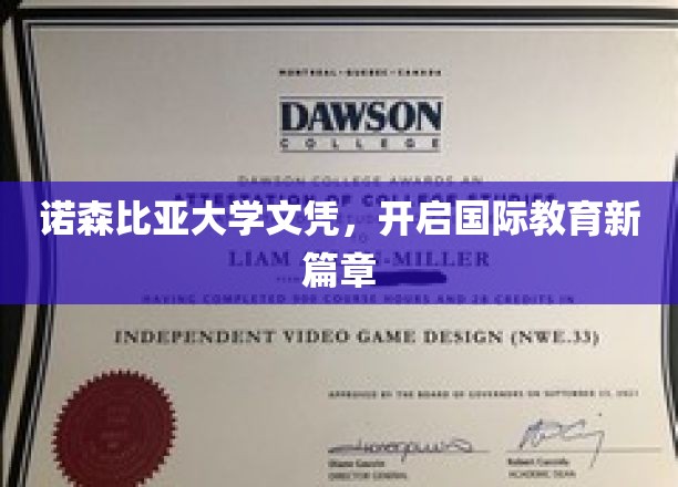 跨越国界，诺森比亚文凭引领教育新纪元