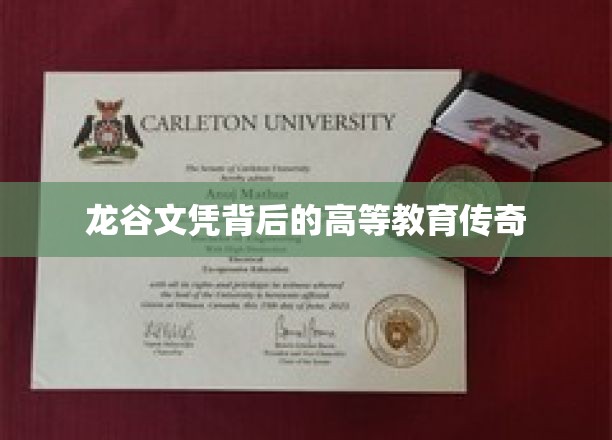 龙谷文凭背后的高等教育传奇