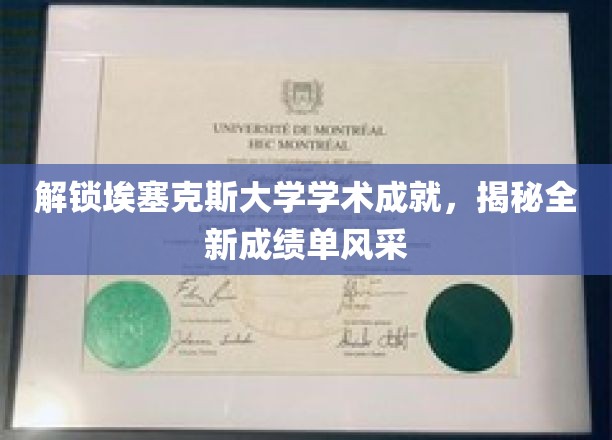 埃塞克斯大学学术成就展示，新成绩单揭开风采面纱