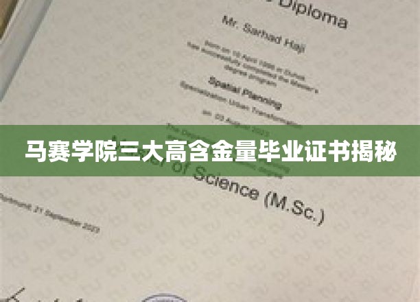 马赛学院三大高含金量毕业证书揭秘