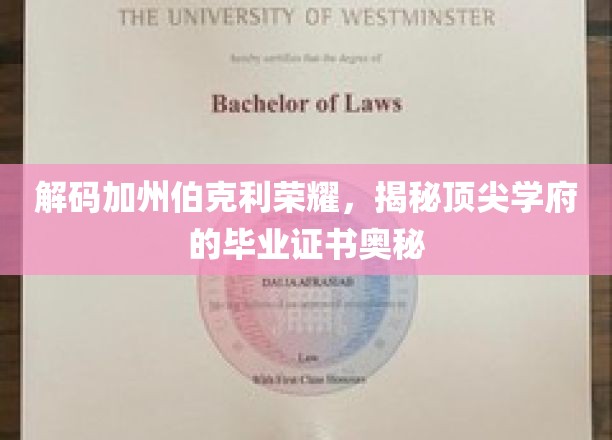 揭开加州伯克利卓越荣耀背后的毕业证书秘密