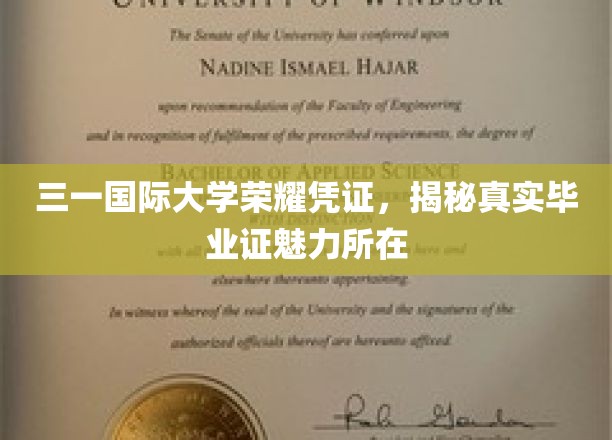 三一国际大学荣耀凭证，揭秘真实毕业证的魅力所在