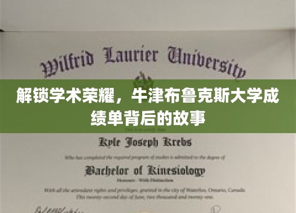 探寻牛津布鲁克斯大学卓越成绩背后的秘密宝藏
