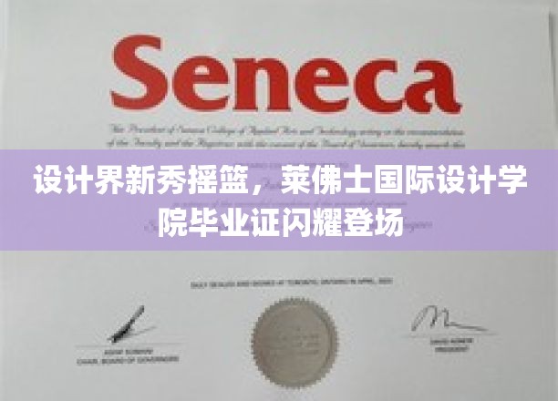 设计新星启航之地，莱佛士国际设计学院毕业证书闪耀亮相