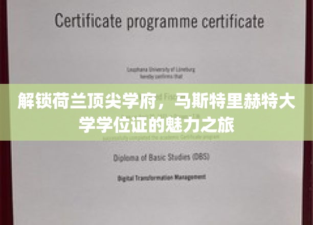 探寻马斯特里赫特大学学位证的非凡魅力与全球认可之路