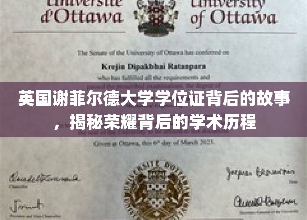 揭开谢菲尔德荣耀学位证的学术传奇