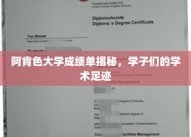 阿肯色大学成绩单里的秘密，学子们的成长轨迹一窥