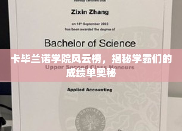 解码卡毕兰诺学霸圈，成绩单背后的神秘力量