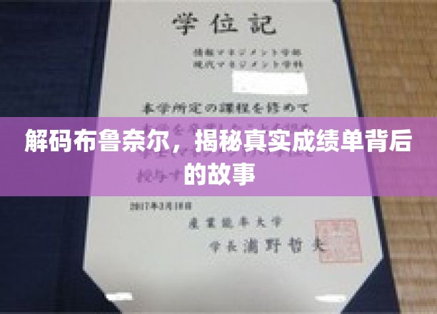 解码布鲁奈尔，揭秘真实成绩单背后的故事
