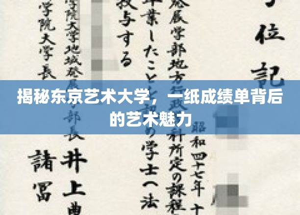 东京艺术大学，解码成绩单中的艺术灵魂之旅