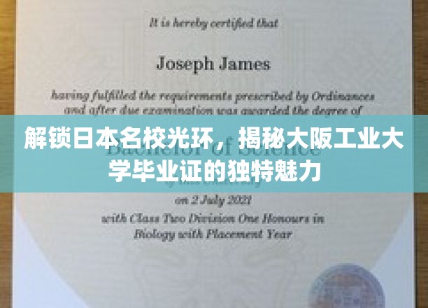 解锁日本名校魅力，一探究竟大阪工业大学毕业证的独特价值