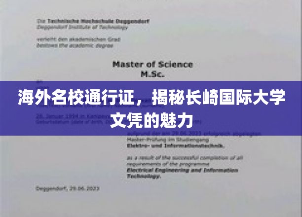 海外名校通行证，揭秘长崎国际大学文凭的魅力