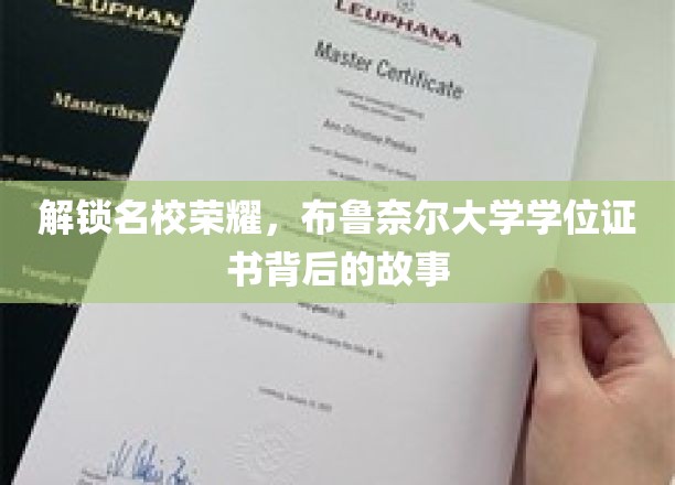 解锁名校荣耀，布鲁奈尔大学学位证书背后的故事