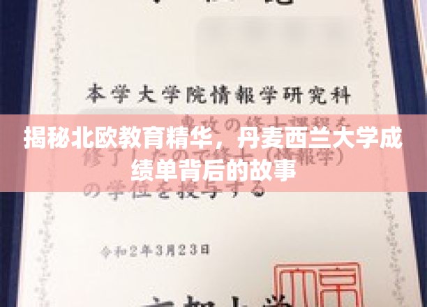 探寻丹麦西兰大学，北欧教育瑰宝的卓越背后