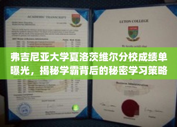揭开学霸面纱，弗吉尼亚大学夏洛茨维尔分校成绩单背后的高效学习秘诀