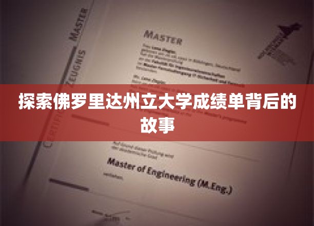 探寻佛罗里达州立大学成绩单背后的故事