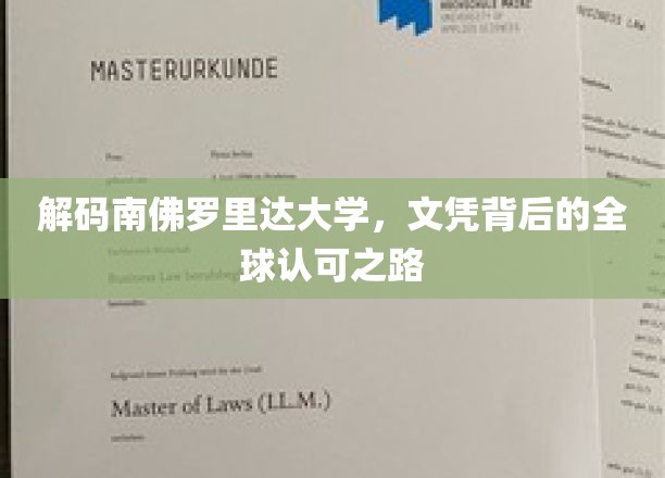 解码南佛罗里达大学，文凭背后的全球认可之路