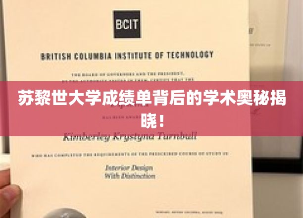 苏黎世大学成绩单揭秘，探寻学术奥秘的神秘面纱