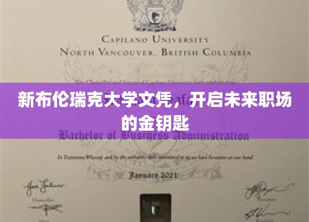 新布伦瑞克大学文凭，开启未来职场的金钥匙