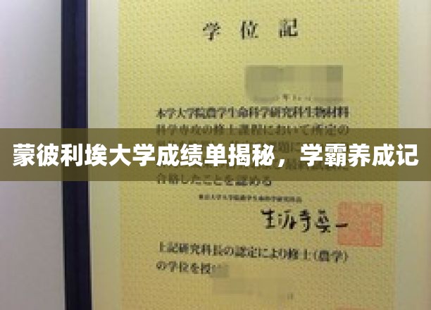 法国蒙彼利埃学霸之路，揭秘学霸背后的成绩单秘密