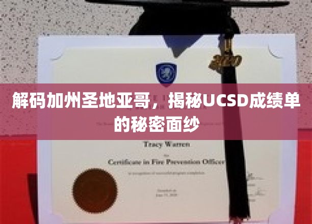 探寻UCSD圣地亚哥，揭秘顶尖学府背后的不为人知成就