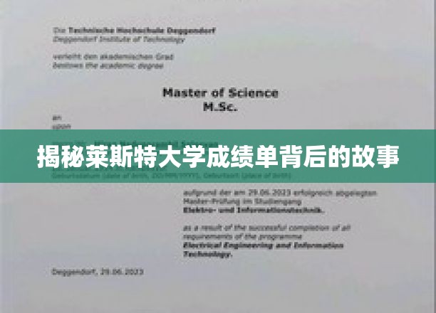 揭秘莱斯特大学成绩单背后的故事