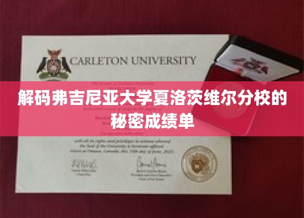 揭示弗吉尼亚大学夏洛茨维尔分校背后的卓越成绩奥秘