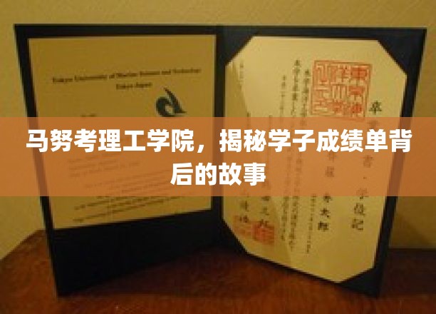 马努考理工学院，揭开学子成绩单背后的精彩故事