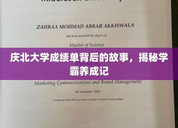庆北学霸风云录，揭开成绩单背后的奋斗轨迹