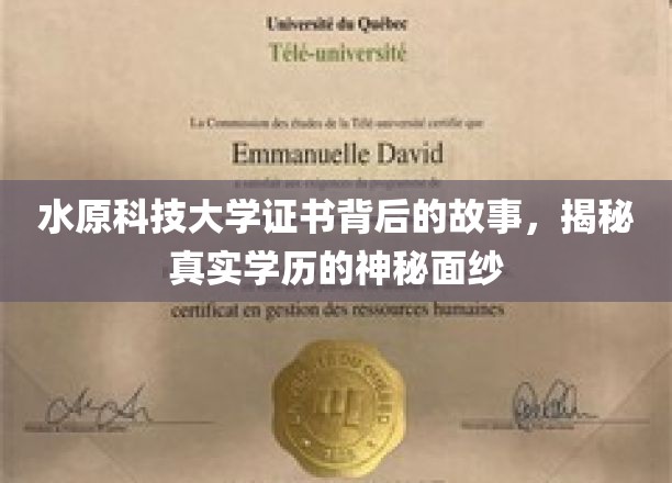 揭开水原科技大学证书之谜，探寻学历认证背后的真实面貌