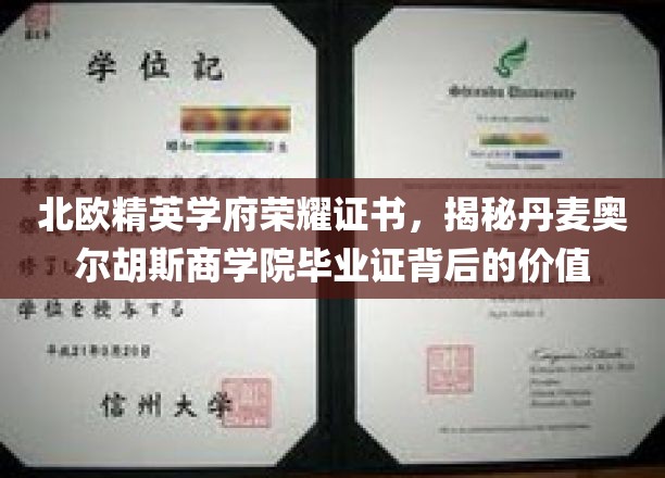 解锁北欧精英学府荣耀，丹麦奥尔胡斯商学院证书的非凡价值