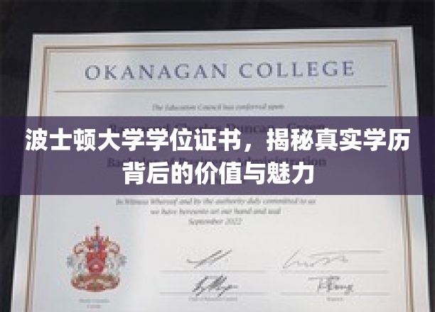 波士顿大学学位证书，揭示学历背后的真实价值与独特魅力
