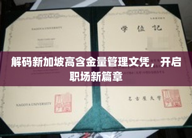 新加坡管理文凭的黄金钥匙，助你职场飞跃新境界