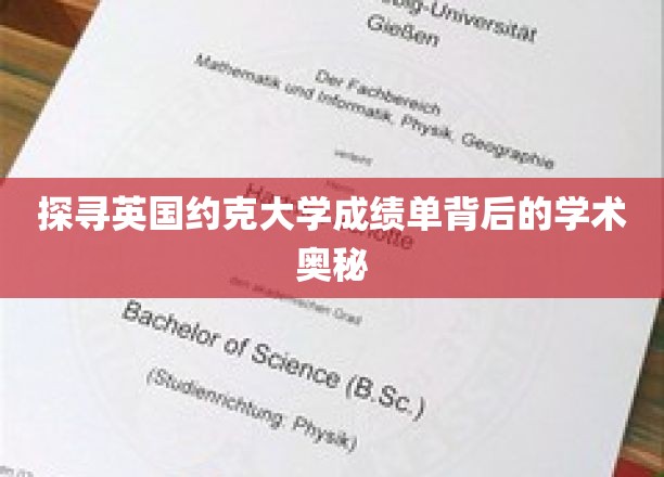 解码约克大学成绩单，揭开学术成就的秘密面纱