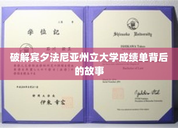 宾夕法尼亚州立大学成绩单，揭秘学术背后的真实面貌