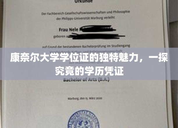 揭秘康奈尔学位证，独特魅力背后的学历凭证奥秘