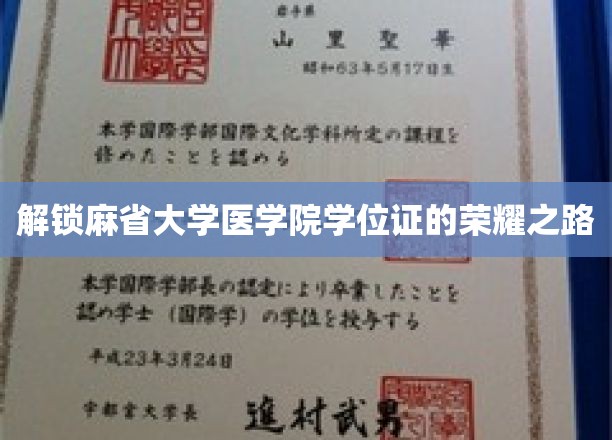 解锁麻省大学医学院学位证的荣耀之路