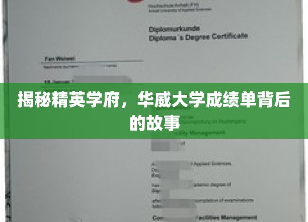 解码华威荣耀，探寻顶尖学府的秘密档案
