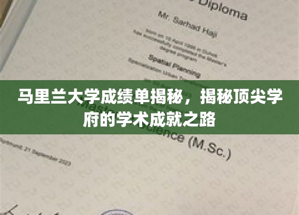 马里兰大学成绩单深度解读：探索顶尖学府的学术成就之路