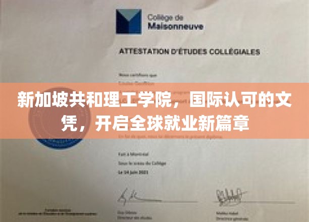 新加坡共和理工学院文凭，助力全球职场新起点
