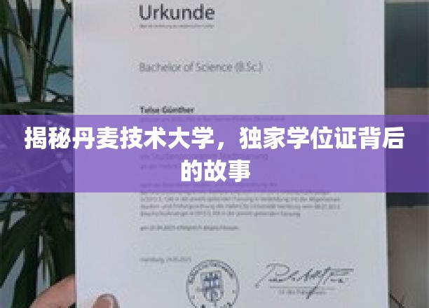 解码丹麦技术大学，学位证背后的传奇之旅