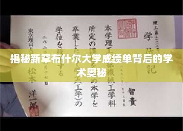 揭秘新罕布什尔大学成绩单背后的学术奥秘
